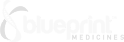 Blueprint-Medicines-1024x379-1